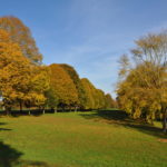 Farnham Park