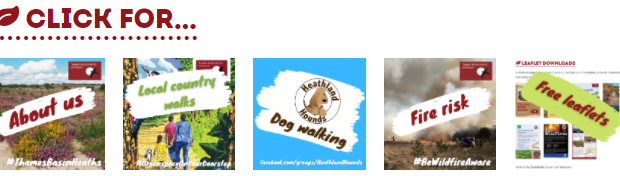 Menu of links to further information about the Thames Basin Heaths