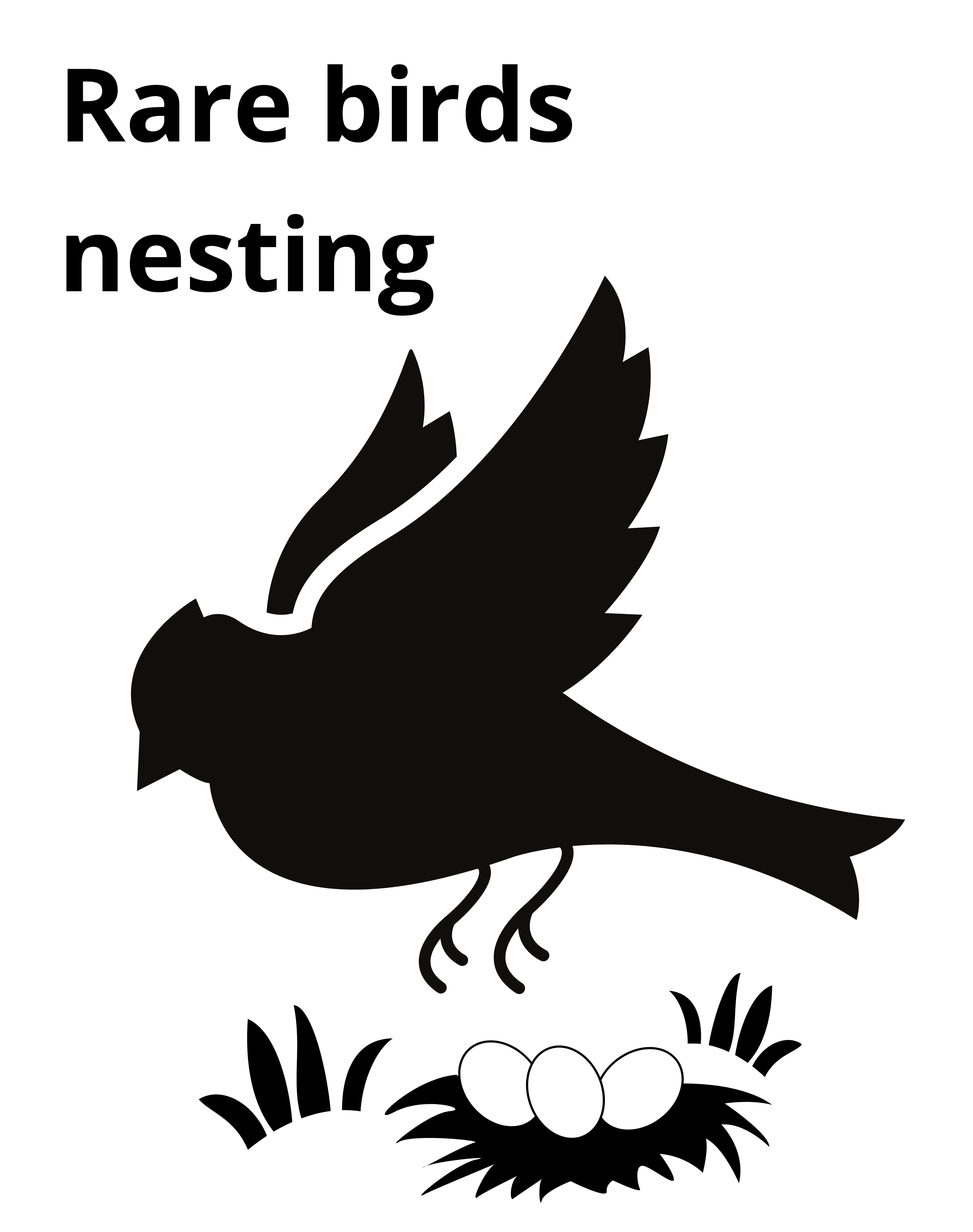 Image of a bird flying off its nest in vegetation