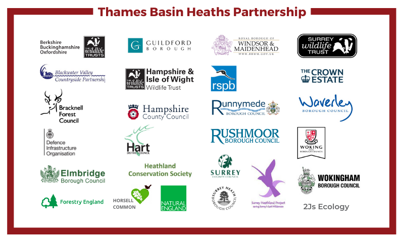 Graphic showing all 26 partnership logos