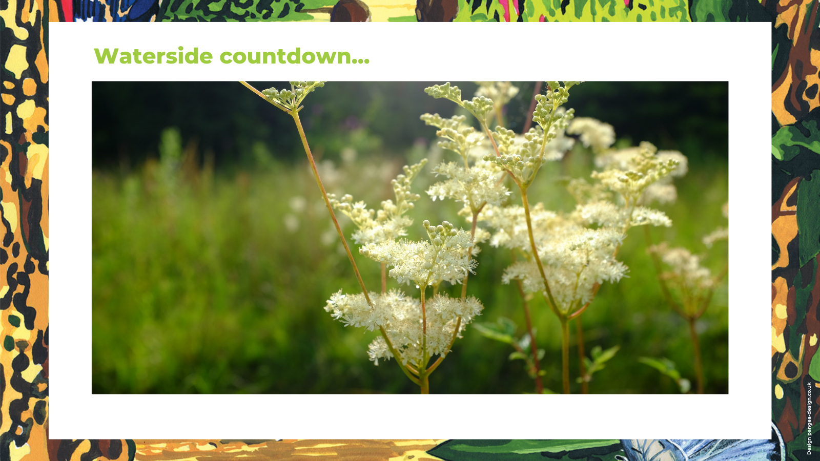 Waterside countdown number 4