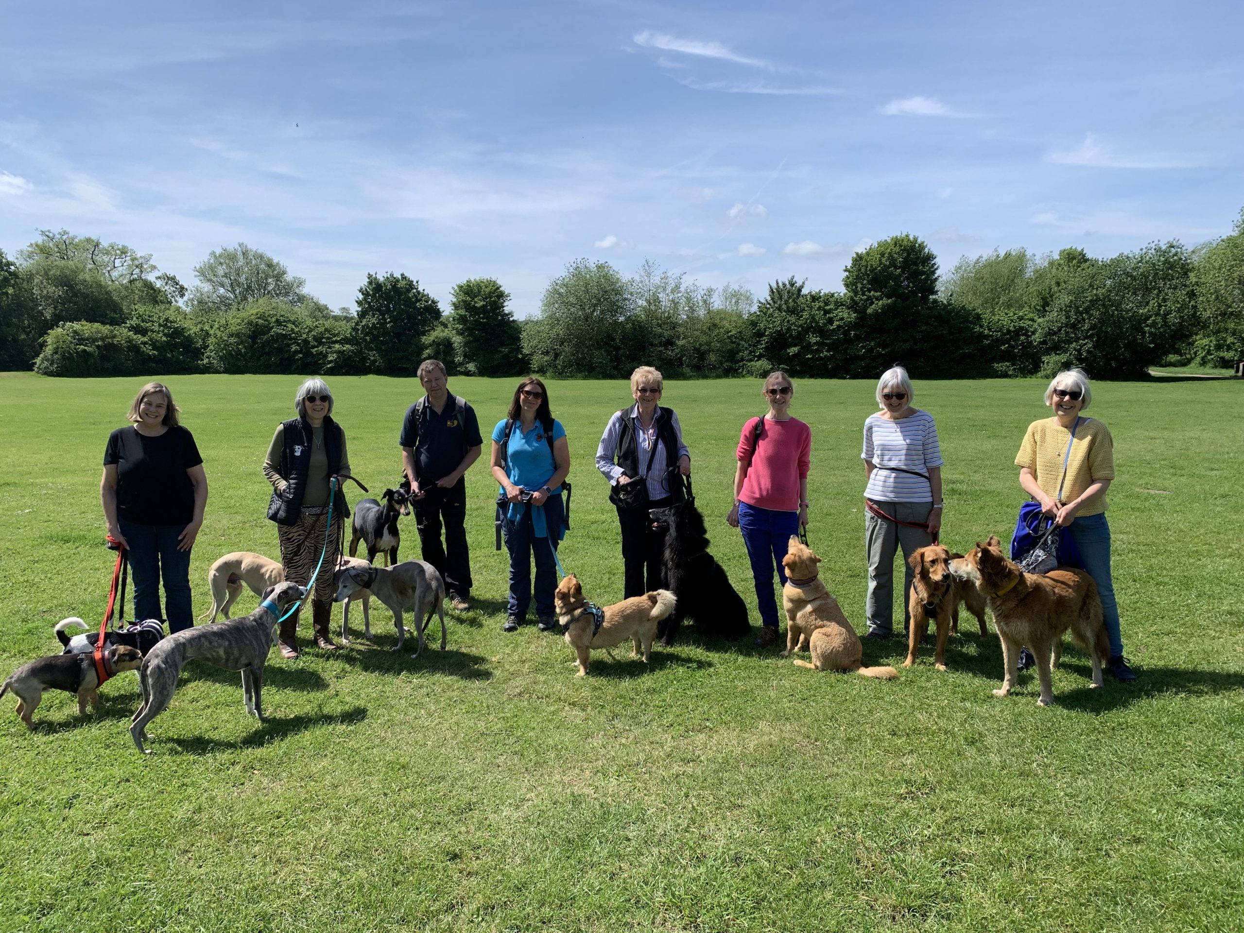 Photo of a group of people and their dogs, standing in the spring sunshine.