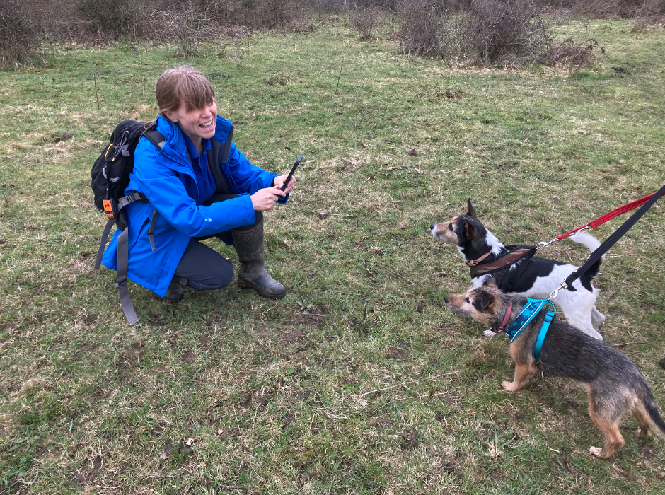 Photo of Warden Jo crouched down trying to take a photo with her phone, as two terriers strain on their leads to see what she's up to!