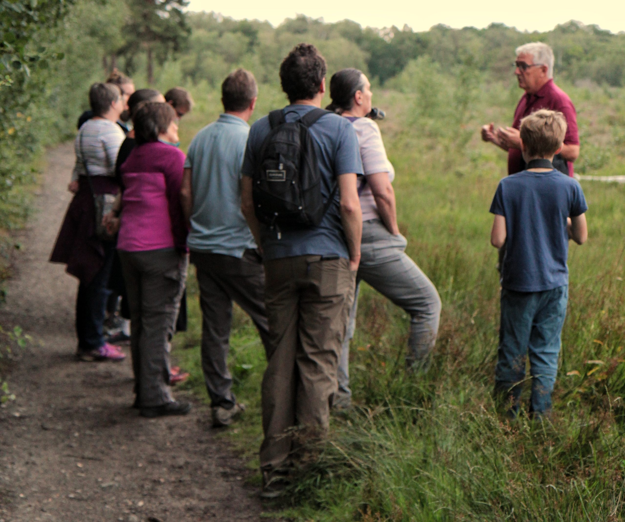 A photo taken at dusk, as people wait for Nightjars to start churring in the fading light. The group stand patiently listening to Steve.