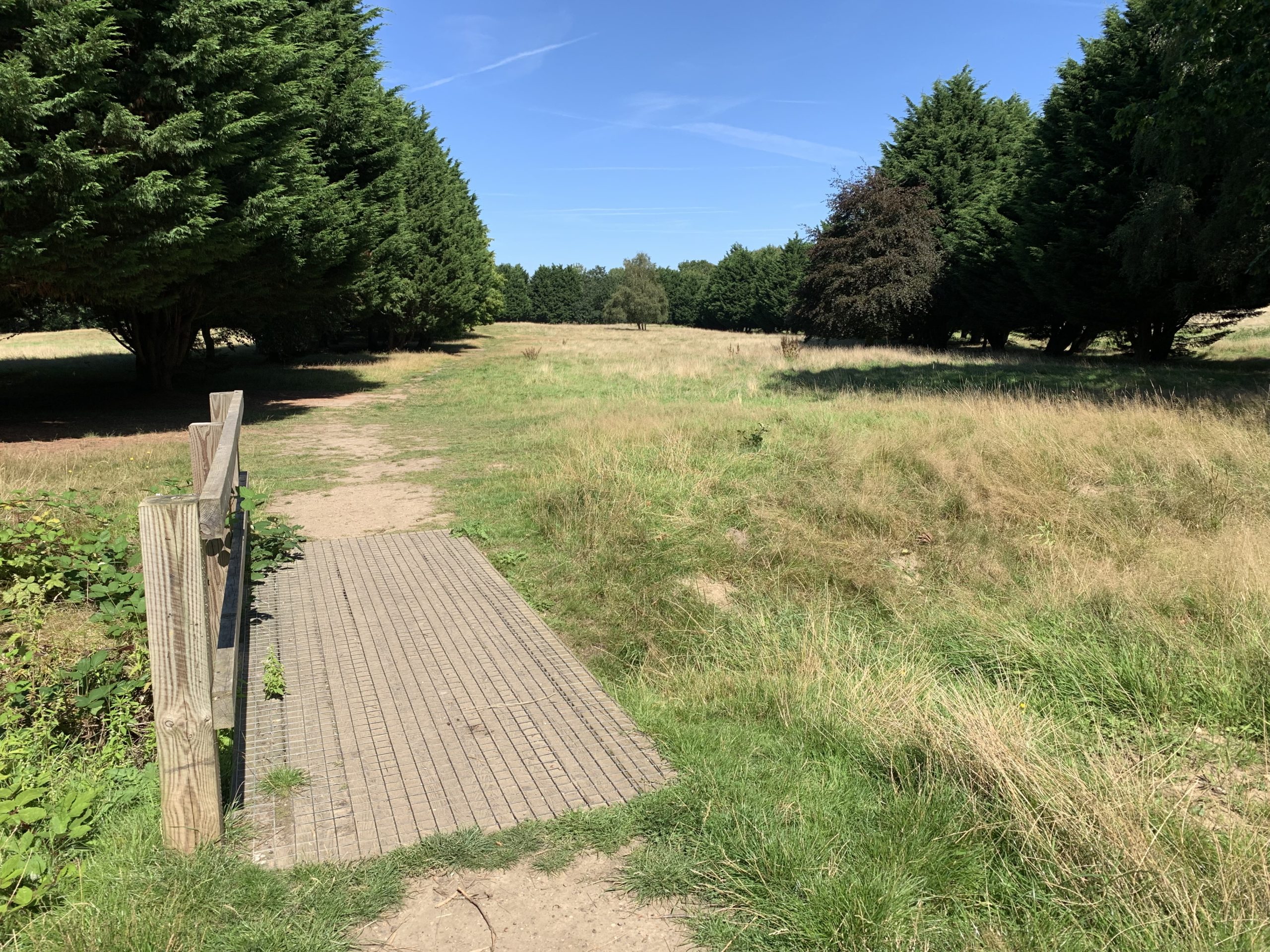 Photo of a small footbridge that takes a path into a meadow. Large conifers flank the path.
