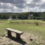 View of a wooden bench at the top of a hill overlooking an open grass area with trees in the foreground