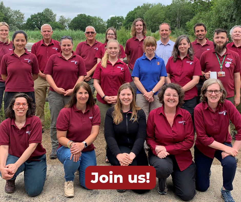 Group photo of 19 people, most wearing burgundy tops.