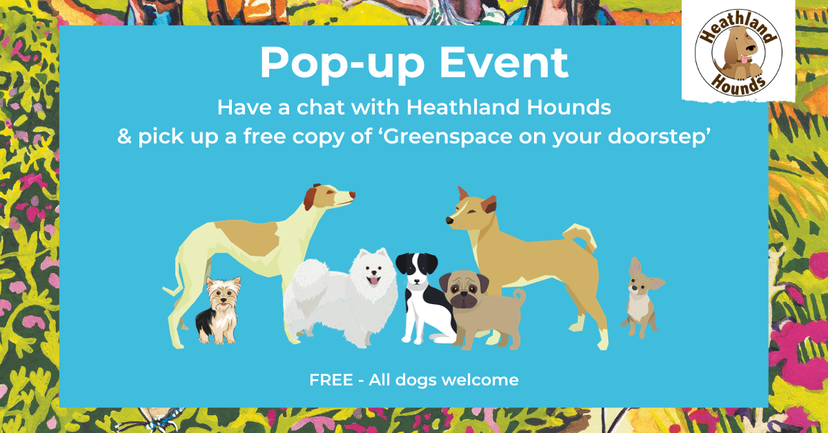 Blue poster advertising the pop-up event. It says "Have a chat with Heathland Hounds & pick up a free copy of ‘Greenspace on your doorstep’".