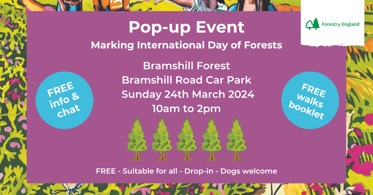 Pretty pink poster advertising the pop-up event
