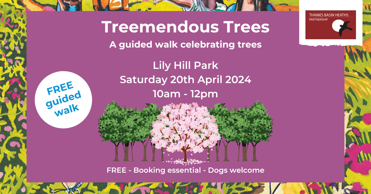 Pretty pink poster advertising the tree walk - see details below.