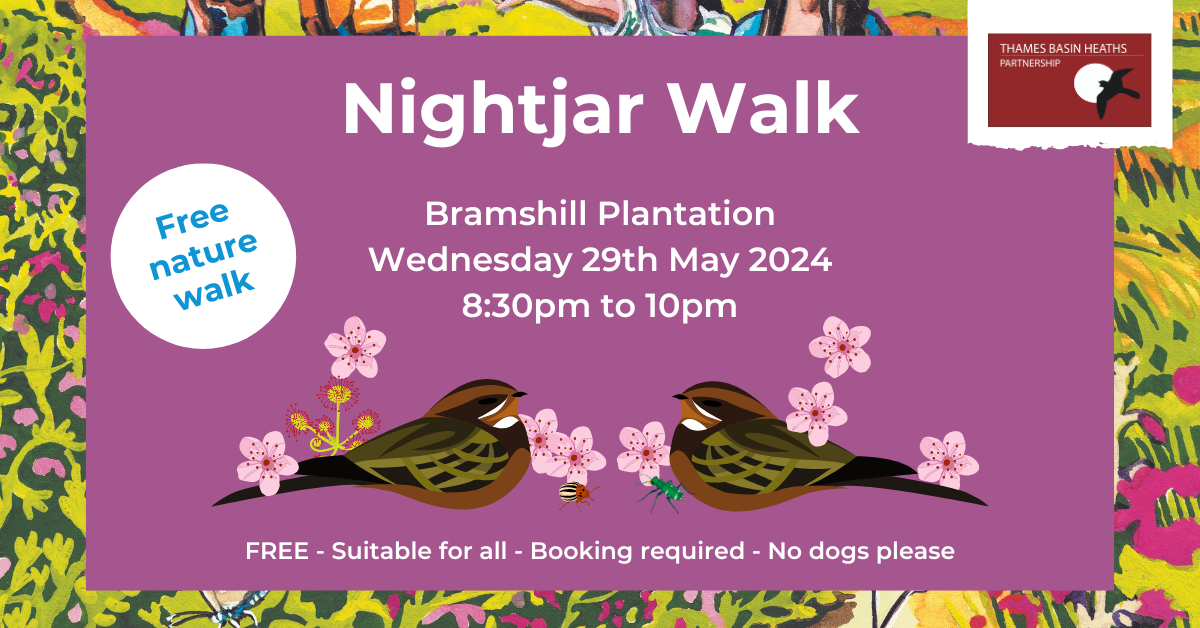 Pretty pink poster to advertise the guided walk. Details below.