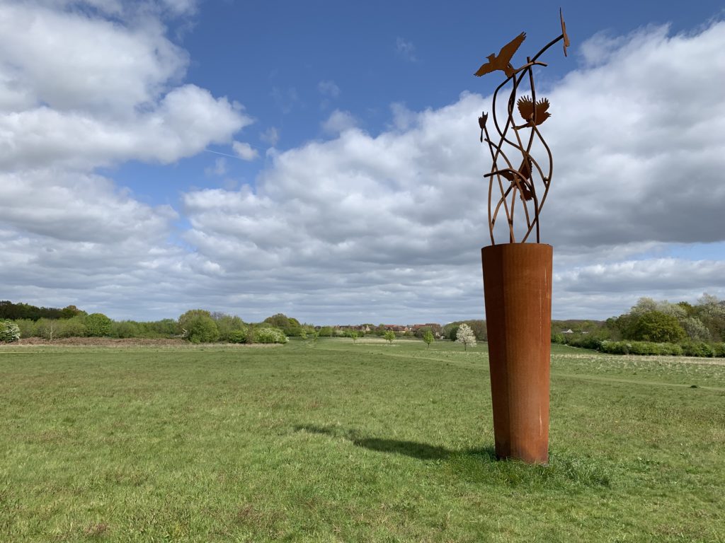 Peacock Meadows & Big Wood - Thames Basin Heaths
