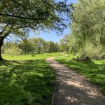 Sunny photo taken from the shade of an Oak tree. The grass the leaves are bright green. A surfaced path snakes through.