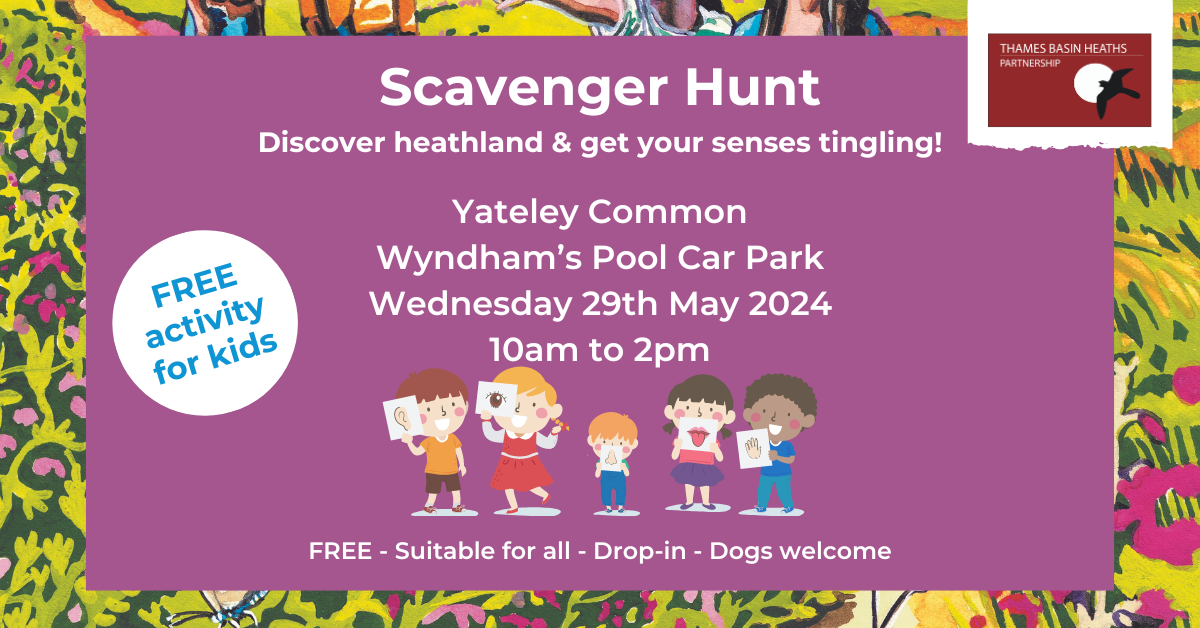 Pretty pink poster to advertise the nature day. Details below.