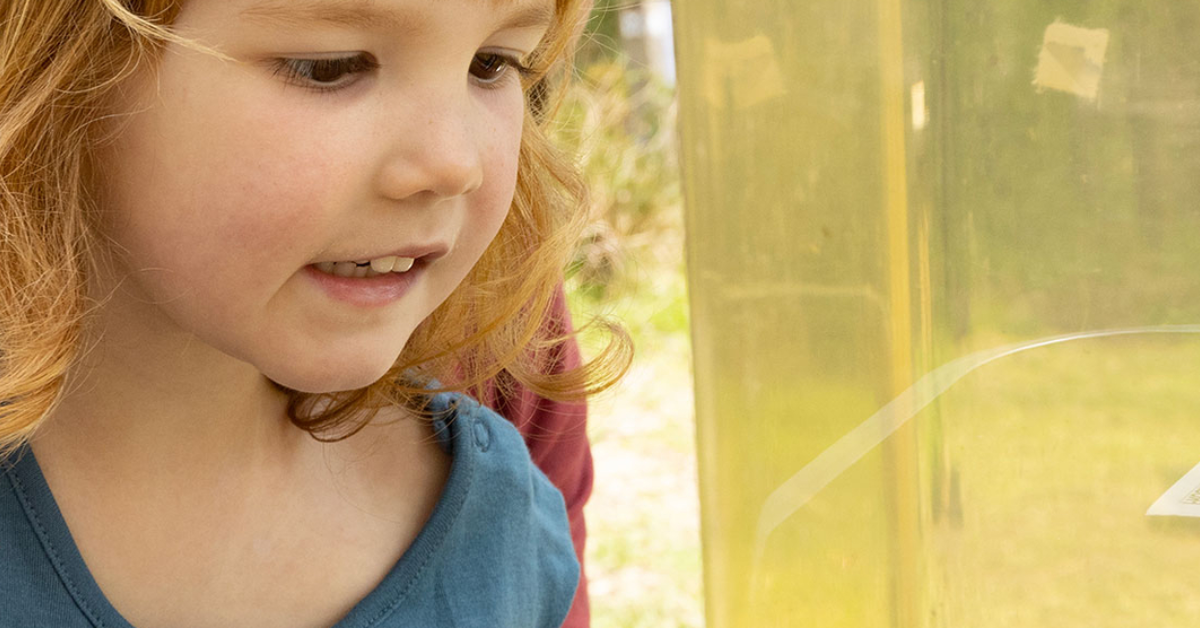 Photo of a little girl looking into a plastic tank. Her face shows excitement about looking at nature.