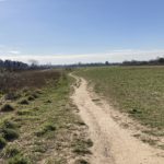 Photo of an open grass area with sandy path running through