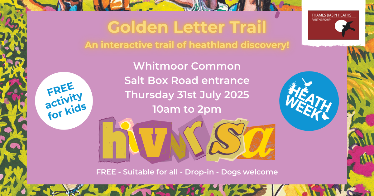Pretty pink poster advertising a Heath Week event