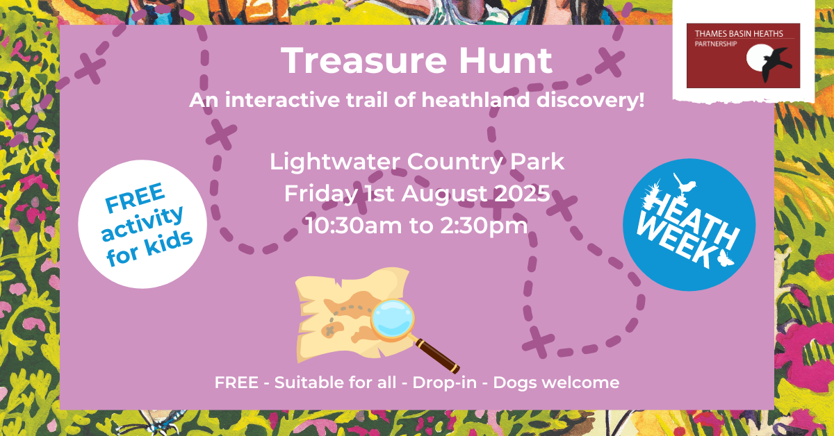Pretty pink poster advertising a Heath Week event