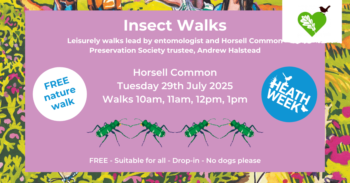Pretty pink poster advertising Heath Week event