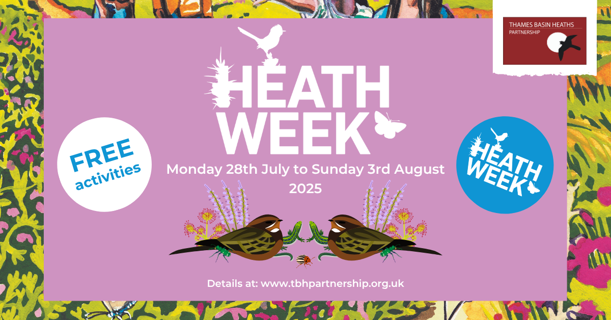 Pretty pink poster advertising Heath Week 2025