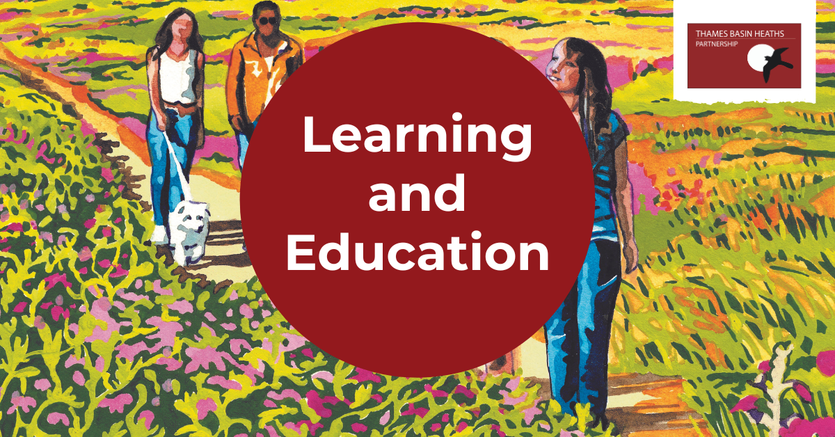 Poster advertising learning and education opportunities