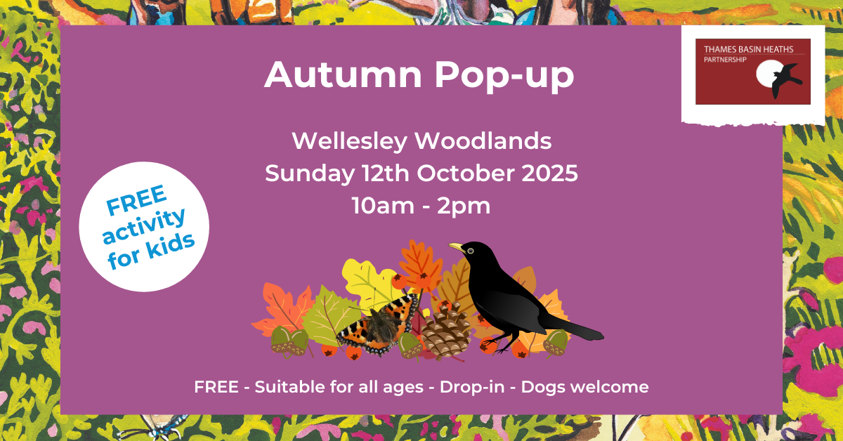 Pretty pink poster advertising Chertsey Meads Autumn pop-up Oct 2025