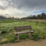 Photo of a wooden bench situated off a surfaced path with open grassland behind