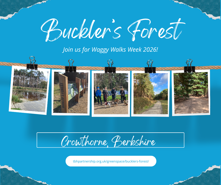 Blue graphic advertising Buckler's Forest greenspace, with photos