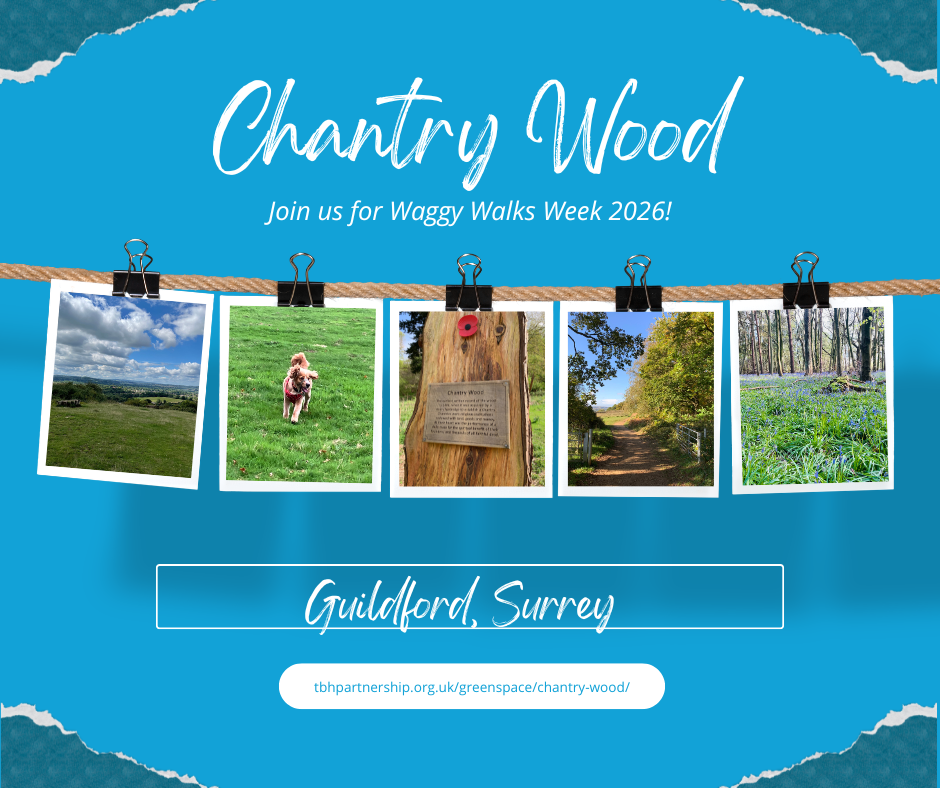 Blue graphic advertising Chantry Wood greenspace, with photos