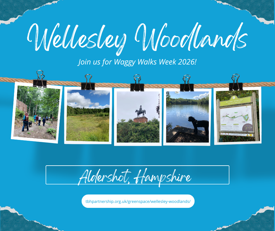 Blue graphic advertising Wellesley Woodlands greenspace, with photos