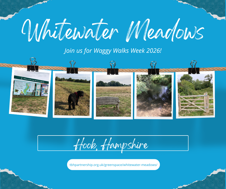 Blue graphic advertising Whitewater Meadows greenspace, with photos