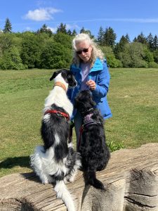 Photo of a female dog owner teaching her 2 large dogs to sit on a bench