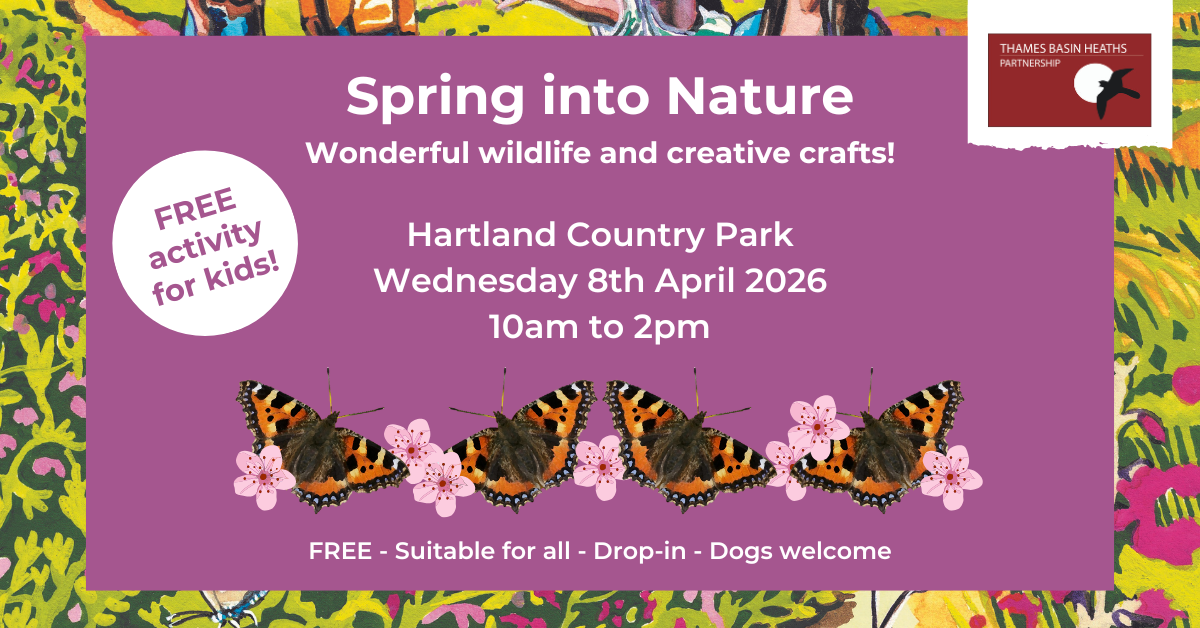 Pretty Pink poster advertising a family friendly spring event. With butterfly and flower graphics