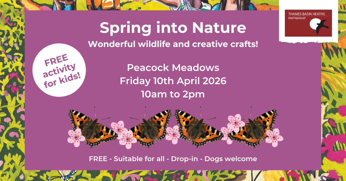 Pretty Pink poster advertising a family friendly spring event. With butterfly and flower graphics