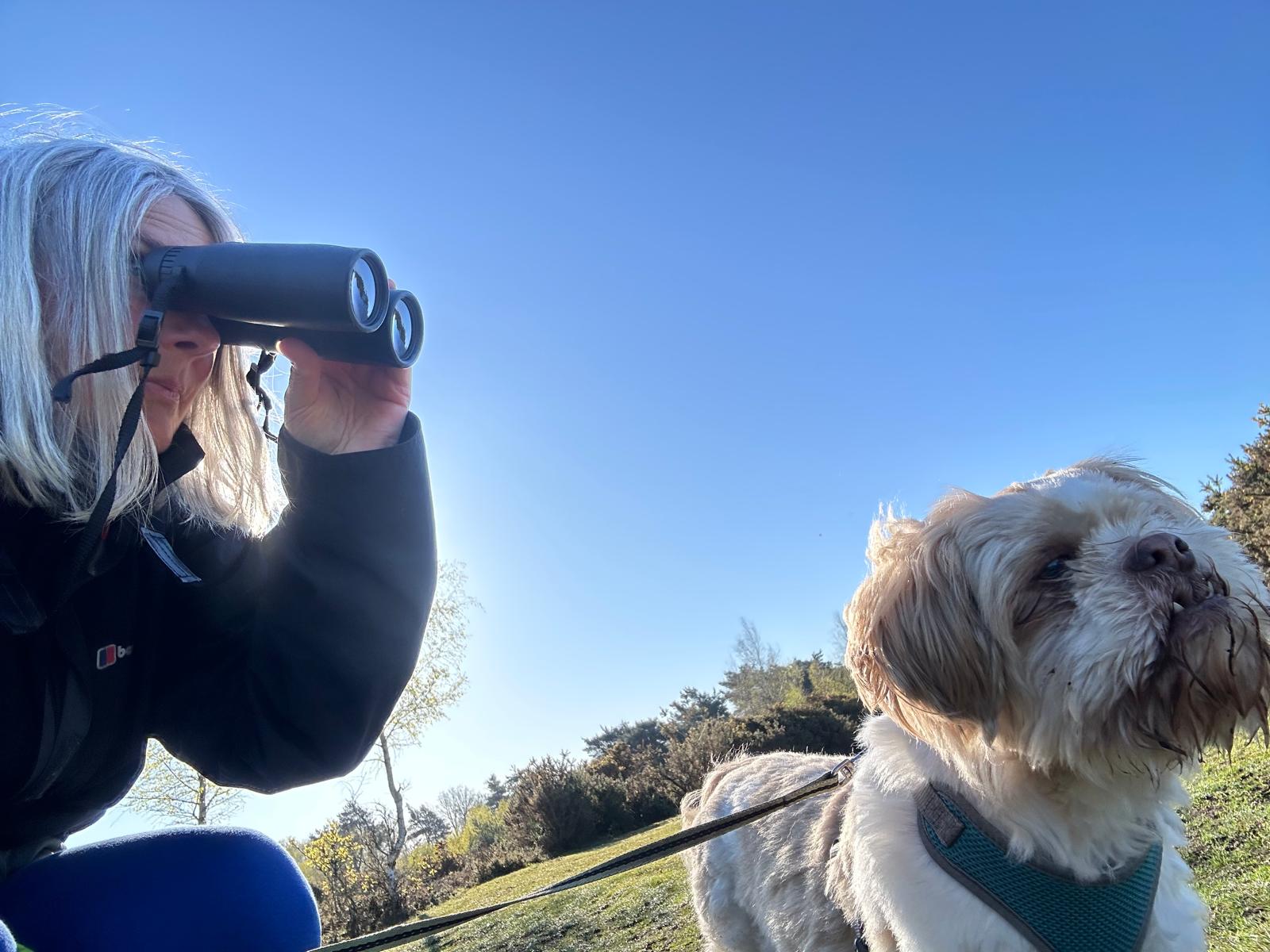Photo of communications officer Nicky birdwatching with binoculars with her small brown and white dog next to her on a heathland
