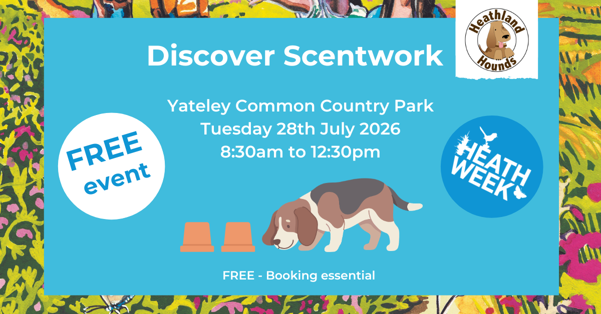 Pretty blue poster advertising a scentwork dog event for Heath Week 2026