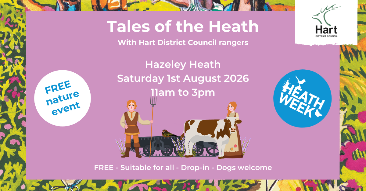 Pretty pink poster advertising a history event called Tales of the Heath