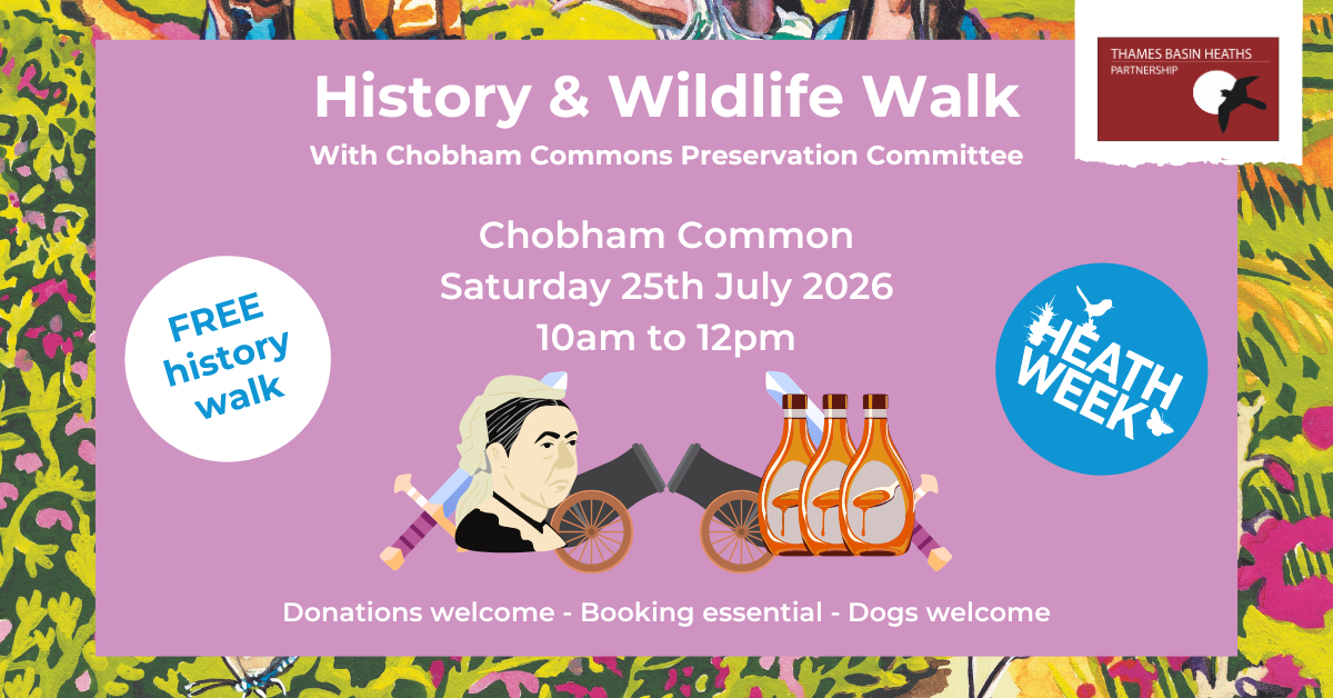 Pretty pink poster advertising a history walk at Chobham Common for Heath Week 2026
