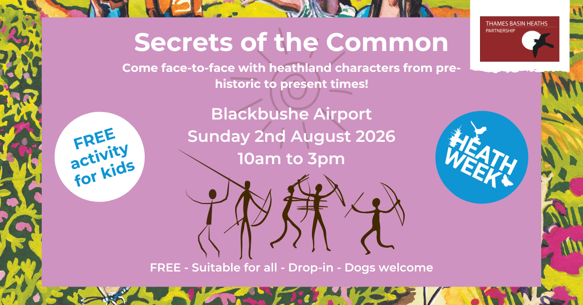 Pretty pink poster advertising Secrets of the Common for Heath Week 2026