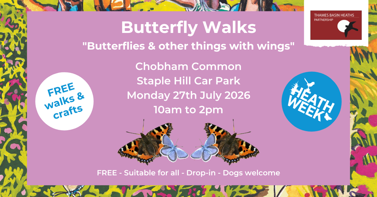 Pretty pink poster advertising a Heath Week 2026 butterfly event