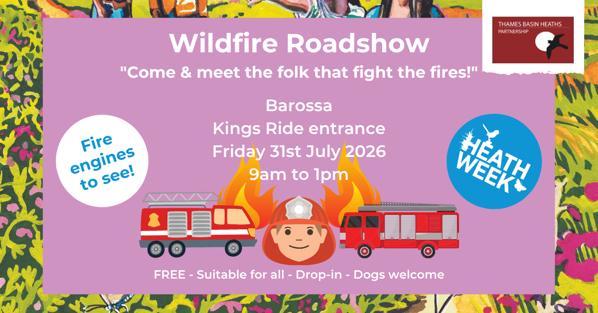 Pretty pink poster advertising a wildfire roadshow for Heath Week 2026