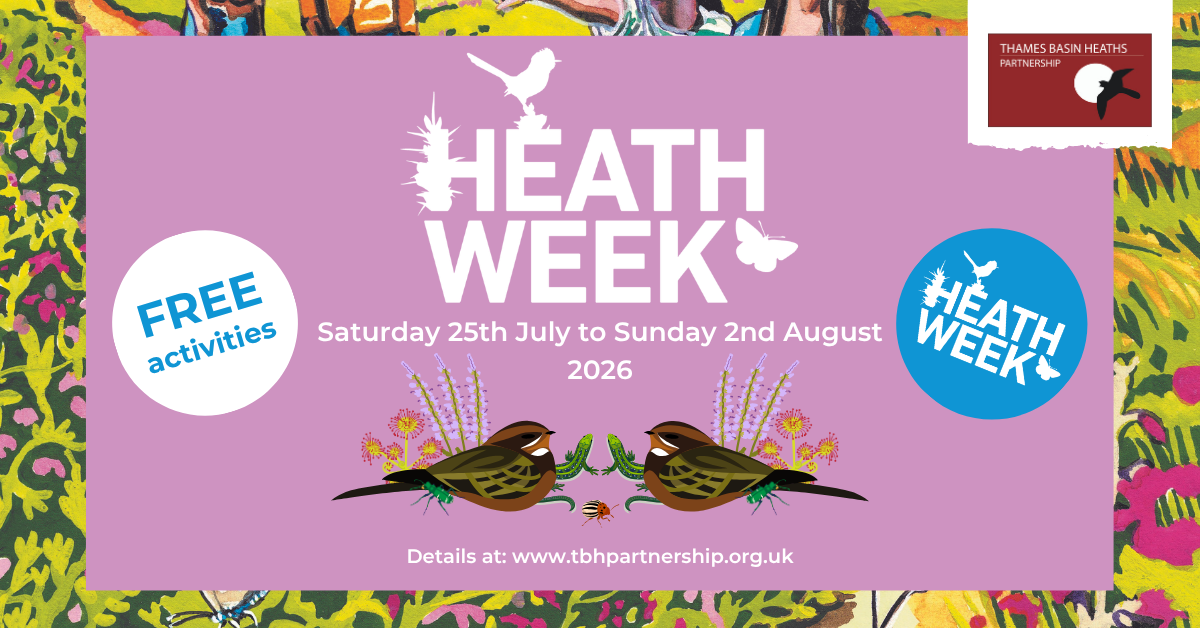 Pretty pink poster advertising Heath Week 2026
