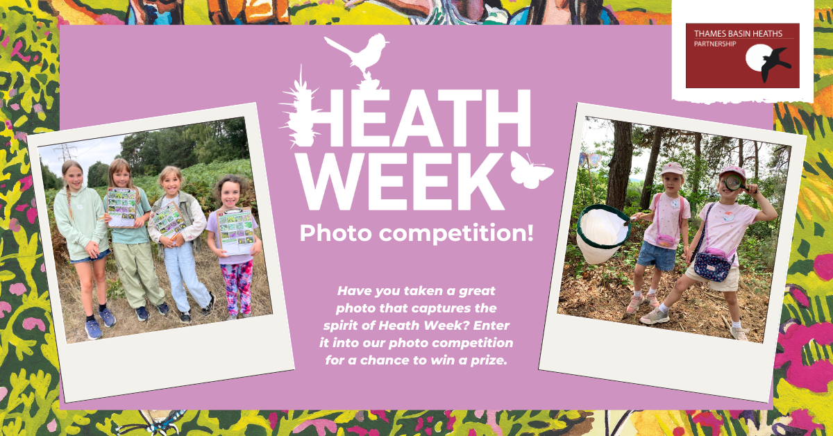 Pretty pink poster advertising the Heath Week 2026 photo competition
