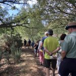 Photo of a trail of people walking down a heathland path under the shade of trees