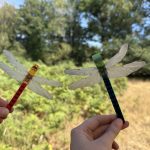 Photo of some craft dragonflies made of lollipop sticks and card. In a forest setting