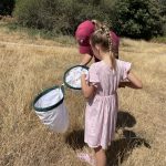 Photo of Warden Hannah peering into large white nets with a young girl, after sweeping for insects