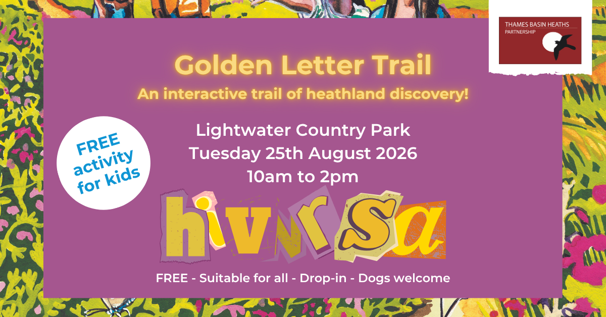Pretty pink poster advertising a Golden Letter Trail at Lightwater Country Park