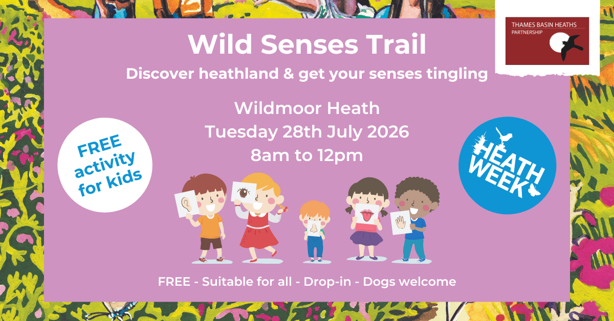Pretty pink poster advertising a wild senses trail for Heath Week 2026