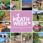 Pretty Heath Week 2026 collage with 12 photos representing 2025 wildlife events