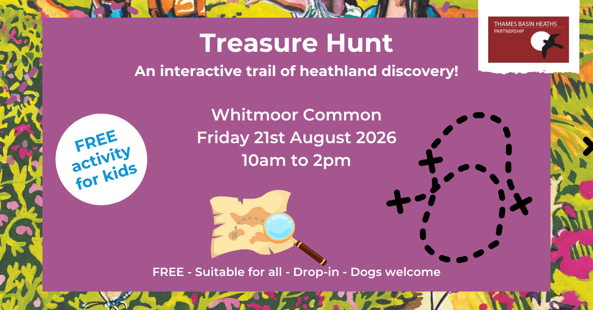 Pretty pink poster advertising a Treasure Hunt